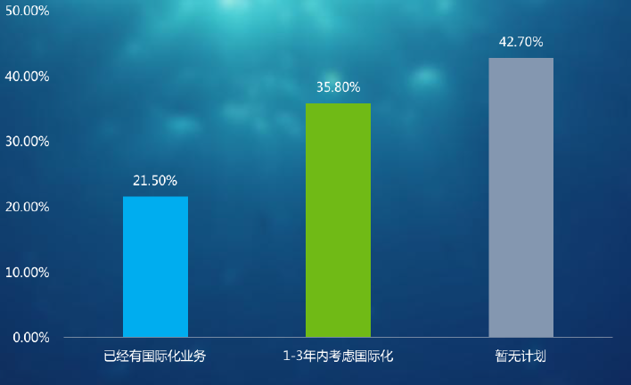 企业国际化的企业国际化的特点