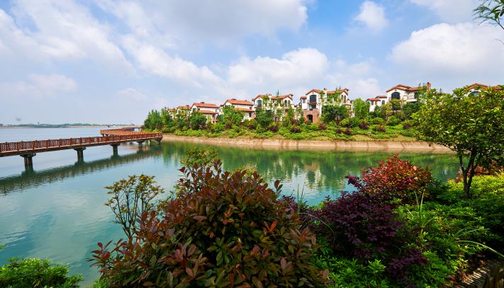 山湖鹭岛:周末来访,樟树港天价辣椒免费送(组图)