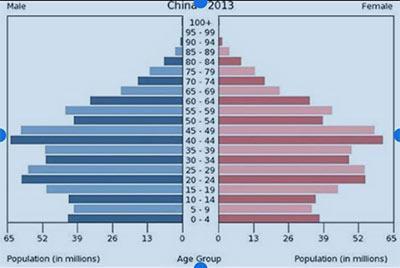 中国人口结构_2013中国人口结构