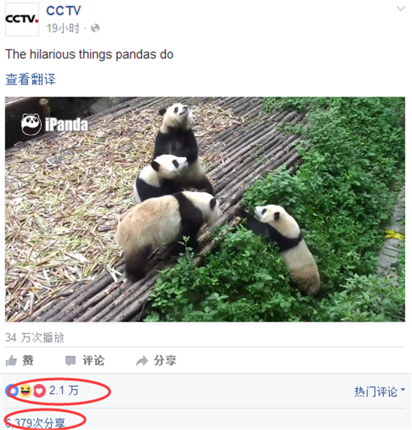 中国官媒的Facebook赞数超越CNN与纽约时报 大熊猫功不可没