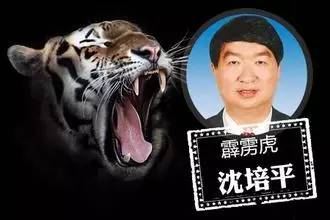 20140309գ(j)o(j)ίO(jin)첿W(wng)վϢʡʡL(zhng)ƽӇ(yn)`o(j)`ܽM{(dio)顣