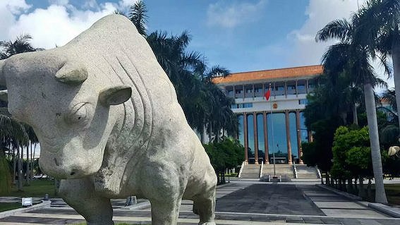 朱明国当年在文昌市市委大院中建造的那头牛的雕像。
