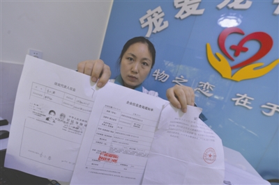 李小蓉向记者展示三家公司的信息、身份证遗失证明等资料。