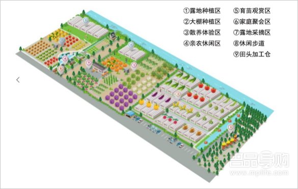 小型生态农场规划美国一牧场饲料桶遭雷击 21头牛进食中归西(图)