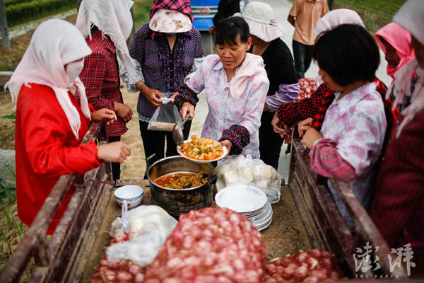 2016年5月20日,山东金乡胡集镇,女劳工们在地头吃饭 。劳工的午饭一般由蒜农供应。