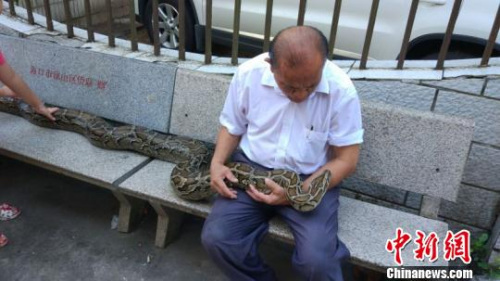 【100米大蟒蛇图片】巨型蟒蛇竟活吞一村民 蟒蛇与鳄鱼之战 鳄死蛇腹