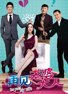 Chinese TV - 再见，老婆大人