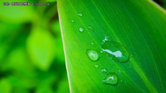 A7R2+FE90 2.8G 快门1/125S 光圈7.1 ISO1250