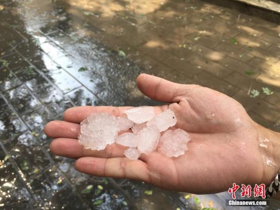 6月10日，北京自西向东迎来一场雷阵雨，雨中伴有雷声及闪电，局部地区出现冰雹。图为北京圆明园地区出现冰雹天气。（手机拍摄）中新网记者 翟路 摄