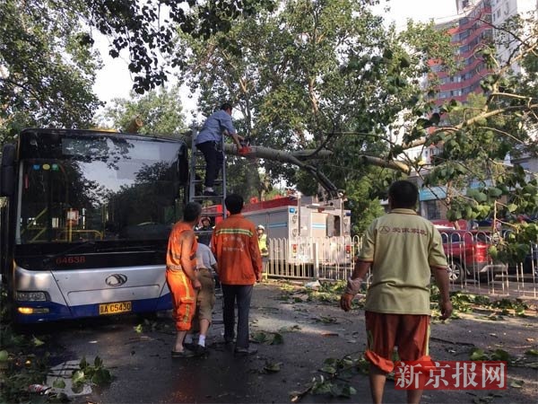 一辆公交车被大树砸中。新京报记者 浦峰 摄