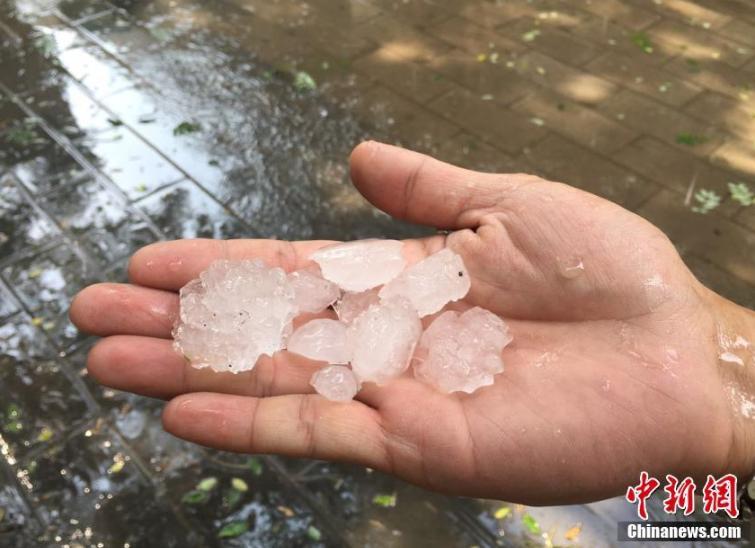 6月10日，北京自西向东迎来一场雷阵雨，雨中伴有雷声及闪电，局部地区出现冰雹。图为北京圆明园地区出现冰雹天气。[page]