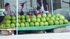 南京街头，西瓜已经大量上市，但瓜摊前却很少有人光顾 现代快报记者 赵杰 摄