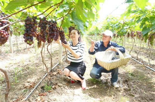 图文:洪湖市大同湖农场不断优化产业结构农村新报讯洪湖市大同湖农场