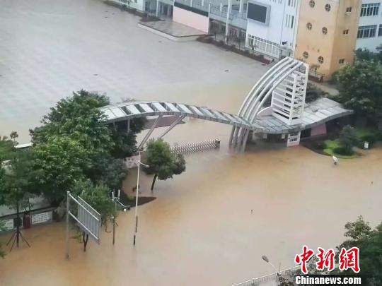 图为柳州市景行小学被淹。 钟欣 摄