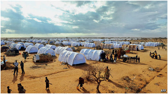 非洲难民营:从这里到永恒-搜狐传媒