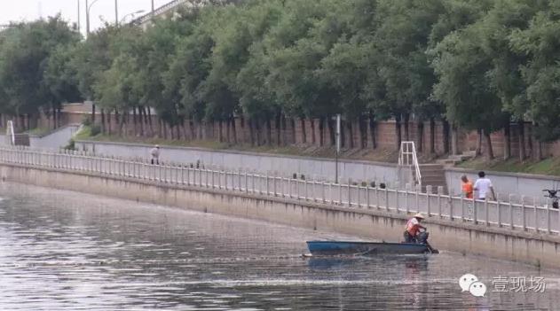 北京朝阳群众:通惠河上漂浮大量避孕套卫生巾