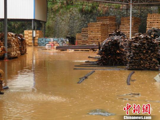 南平延平区人口_福建南平10县 市 遭受严重水灾