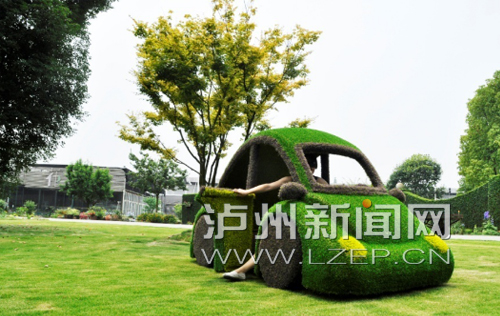 企鹅,松鼠,长尾浣熊 酒城乐园绿色动物园免费"开园"啦