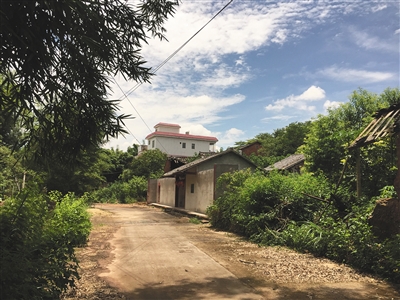兴宁市胜青村，刘小华的老家是远处那幢两层的楼房。村民说这幢房子很少有人住。新京报记者 刘子珩 摄