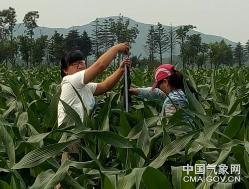 单振宇报道6月27日,辽宁省丹东市宽甸县气象局组织农业气象技术人员