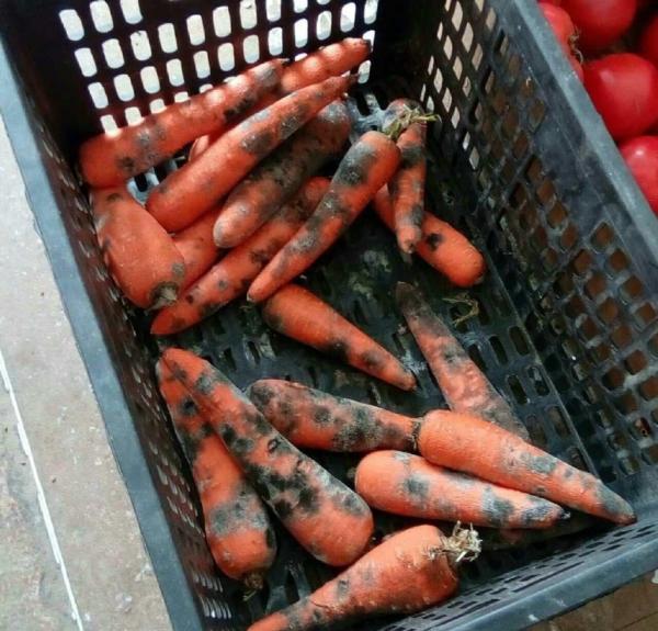 辽宁一幼儿园被曝给孩子吃劣质食材休息区有灭鼠药