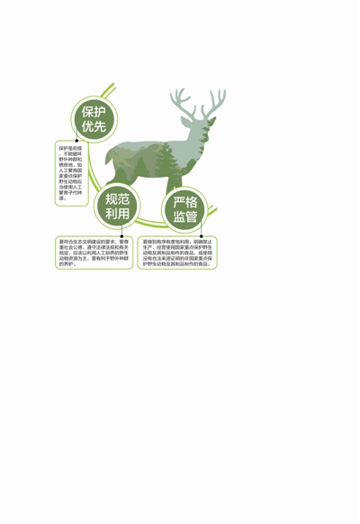 制图 王雪