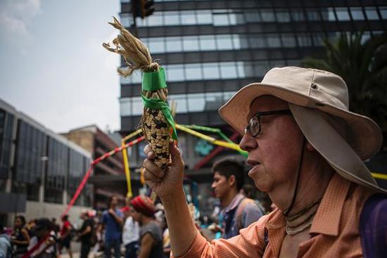 当地时间2016年5月21日,墨西哥墨西哥城,民众组织游行,抗议转基因食品。