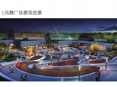 凤舞全球