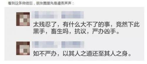不久,又呈现另样声音: