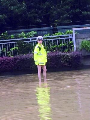 交警王强穿静止短裤在水里执勤 交警供图