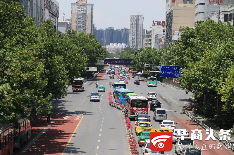 宝鸡的林荫路越来越多 妈妈再不怕我被晒伤了(组图)