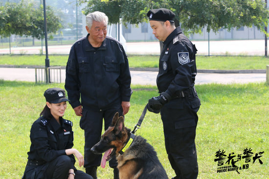 《警花与警犬》收视高涨崔可法变警犬训导元老