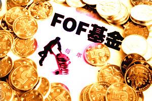 积极备战FOF蓝海 公募基金八仙过海(图)