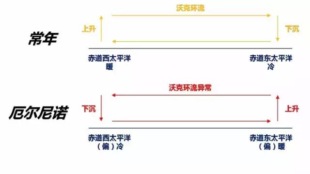 厄尔尼诺是热带太平洋的异常,会通过一系列的渠道传导至大气,让大气环流不正常。最明显的特征是,让沃克环流下沉支移动到菲律宾附近,形成