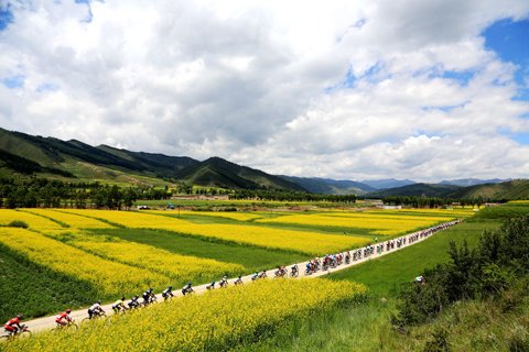 7月18日，23支车队的车手们在青海省大通回族土族自治县境内的油菜花田中骑行。