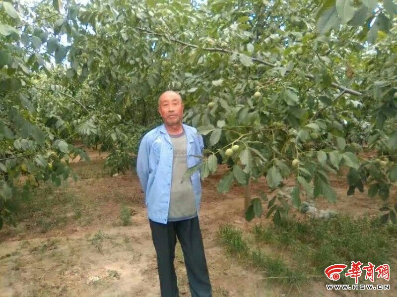 岐山县68岁老人跳渠救起9岁男童救人后连打了未来美女图片的图片