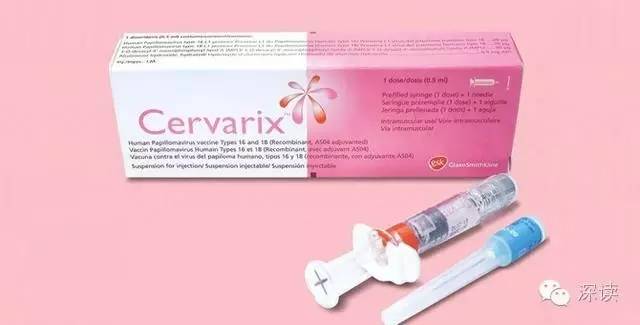 为何内地女性热衷于赴港接种HPV疫苗?