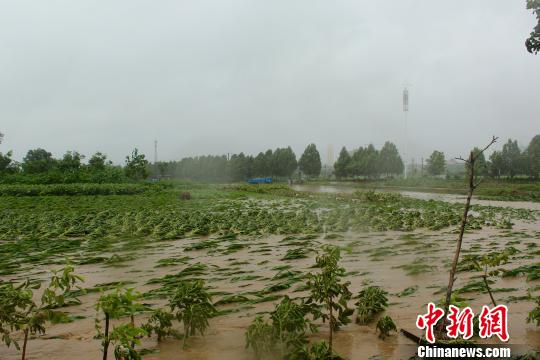 河北赞皇县遭特大暴雨袭击 12万群众受灾(图)