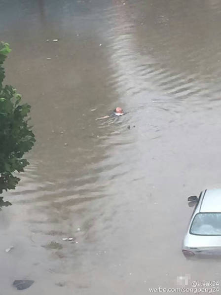2016年7月19日，河北邯郸，一小区门口附近突然有人喊救命，仔细一看发现有位妇女仰面朝上快被雨水吞没。就在这个时候，一位戴眼镜的小伙儿趟着水把这位妇女救了起来。