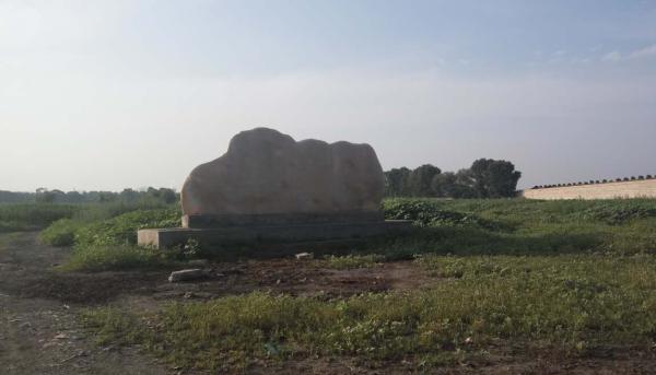 2011年8月上旬，张明杰为她主持的“新发镇小城镇示范区”项目奠基礼立了一块赭色的石头作为奠基石。如今，这块奠基石周围土地已尽数抛荒。 受访者供图