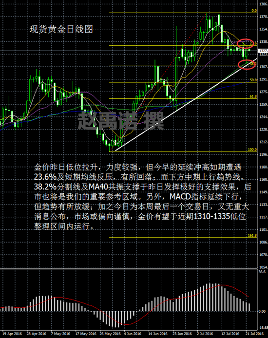 套单不可怕，心态最尴尬。本想用一赚十，结果却用十来添了一，家财散尽，伤痕累累，最初的梦想如今成了泡影。所以，你放弃了吗？在一败涂地的时候，你何曾想过原因，为什么你和别人是相反结果？找到赵禹诺老师，本港台直播给你答.案