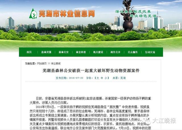 2016年7月6日,一段宰杀扬子鳄的视频在芜湖县微信伴侣圈中倏地流传,视频固然只要短短十几秒,却形成了顽劣的社会作用。