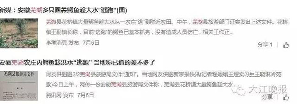 很多芜湖网友还看到了旅行局文件的图像说的那是这个事儿