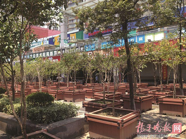 在湖畔天城贸易街上,城管部分摆满了一排排大型美化树箱。 扬子晚报图