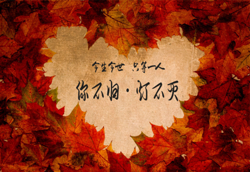 ˮ׵ײһƬҶ,