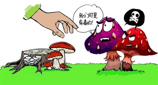 预防误食毒蘑菇中毒 这些你该知道(图),误食毒