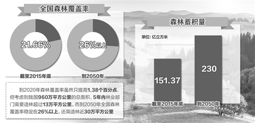 到2020年我国森林覆盖率将超过23.04% 划分八大区域(图)