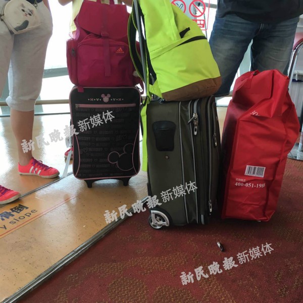图说:旅客携带的超大件行李来源:网友供图