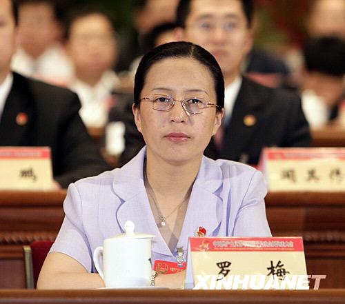 团中央书记处书记罗梅任西藏自治区政府主席助