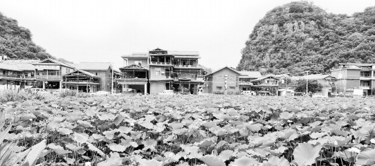 8月盛夏，旅游旺季到来，位于普者黑核心景区内的仙人洞村正在忙碌地迎接着游客。